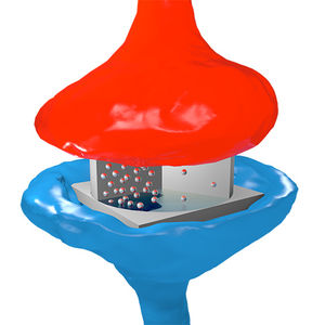 Elektronen-Tanz: wichtig in künstlicher Synapse (Foto: Sören Boyn, UMPhy)