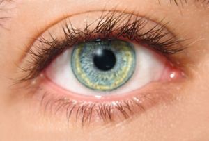 Auge: Neue Zellen in der Retina gefunden (Foto: pixelio.de, David Richum)