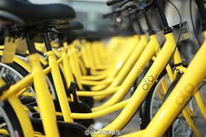 Bike-Sharing: Vandalismus wird oft im Web publik gemacht (Foto: ofo.so)