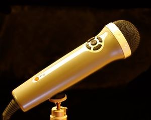 Mikrofon: Wenig Vorlage erlaubt Stimmenklau (Foto: Günther Gumhold, pixelio.de)