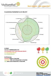 Persönlicher VitalitaetsIndex® - Beispielauswertung (Foto: Peter Zellermayer)