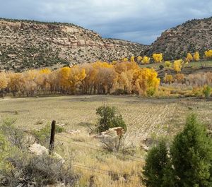 Überflutungsgebiet des Colorado River (Foto: news.stanford.edu, John Bargar)