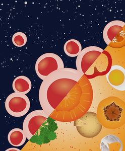 Vitamin A hat eine zentrale Funktion (Bild: Cabezas-Wallscheid/ Andreas Trumpp)