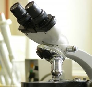 Mikroskop: Forscher sind Keimen auf der Spur (Foto: Michael Bührke, pixelio.de)