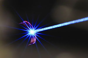 Winzige Zange: Diese greift dank einer Reflexion zu (Foto: tut.fi/en)