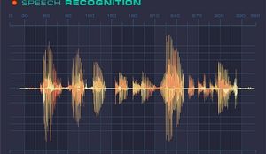 Stimme: Magnetfelder verraten Abspiel-Angriffe (Foto: buffalo.edu)