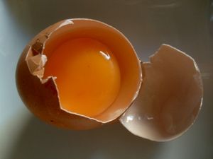 Ei: einfaches Mittel gegen Unterernährung (Foto: pixelio.de, Angelina Ströbel) Ei: einfaches Mittel gegen Unterernährung (Foto: pixelio.de, Angelina Ströbel)