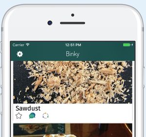 Newsfeed: Banale Fotos werden kommentiert und bewertet (Foto: binky.rocks)