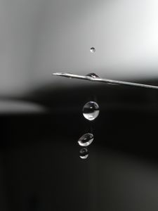 Impfstoff: Fortschritt bei Ebola-Impfstoff (Foto: pixelio.de/Johannes Schätzler) Impfstoff: Fortschritt bei Ebola-Impfstoff (Foto: pixelio.de/Johannes Schätzler)