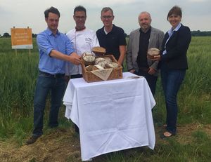 Norbert Büsch lässt Urkorn Emmer anbauen (Foto: Baum-Kommunikation)