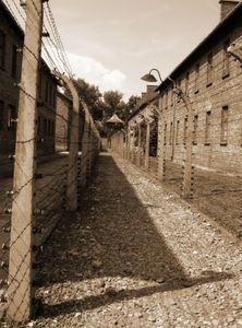 Auschwitz: Überlebende haben Krebsrisiko (Foto: pixelio.de, Igelballprinzessin) Auschwitz: Überlebende haben Krebsrisiko (Foto: pixelio.de, Igelballprinzessin)