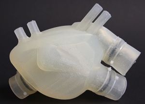 Herz aus Silikon: Langzeitlösung würde Leben retten (Foto: Zurich Heart)