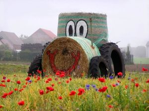 Traktor aus Stroh: Neuer Biosprit kommt vom Feld (Foto: knipseline, pixelio.de)