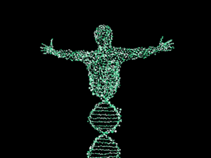 DNA-Mensch: Genetik relevant für Bildung (Foto: NeuPaddy, pixabay.com)