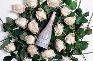 Auf Rosen gebettete Flasche: Aurosa-Bier für Frauen (Foto: aurosa.cz)