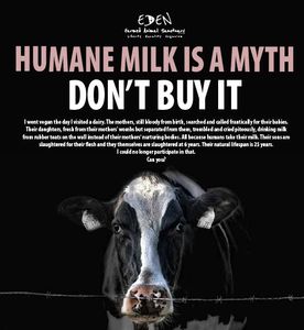 Anti-Milch-Werbung: Molkereien besorgt über die Folgen (Foto: goveganworld.com)