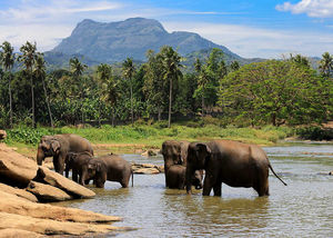 Sri Lanka - Beliebtes Reiseziel in Südasien