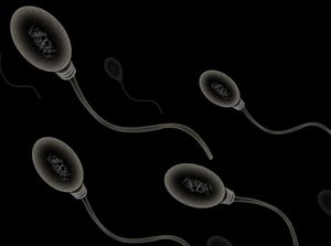 Sperma: Versteck für Ebola-Erreger (Foto: flickr.com/Zappys Technology)