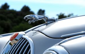 Jaguar: Langfristigkeit zählt (Foto: gayulo, pixabay.com)