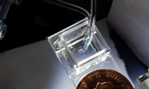 3D-Gewebe-Druck: revolutionärer Vorstoß (Foto: Sam Olof/ Alexander Graham)