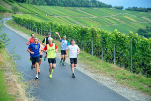 Vorbereitungslauf über 20 Kilometer führt in die Weinberge (© ebm-papst)