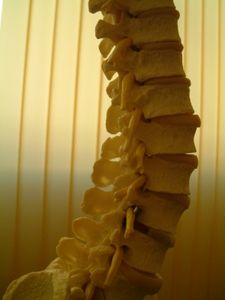 Wirbelsäule: neue Therapie ohne Nebenwirkungen (Foto: pixelio.de, strichcode)