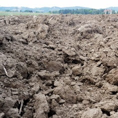 Pestizide: Autismusrisiko bei Kindern steigt (Foto: pixelio.de, M. Großmann)