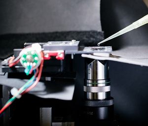 Probe auf Chip bald noch schneller analysierbar (Foto: ethz.ch/Andreas Frutiger)