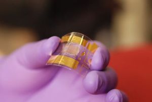 Flexibel wie nie zuvor: Transistor auf einem Stück Plastik (Foto: wisc.edu)