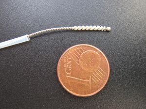 Zytologiebürste: Tool nützlich für die Forschung (Foto: ifado.de, Klaus Golka)