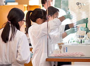 Laborarbeit an der University of Illinois (Foto: University of Illinois)