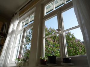 Fenster: könnten künftig als Heizung dienen (Foto: flickr.com/storebukkebruse)
