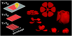 Mit Origami-Technik erzeugte Objekte sind billig herstellbar (Bild: tudelft.nl)