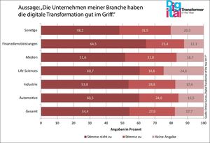 Infografik (Quelle: Online-Survey 