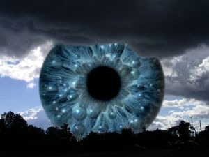 Wachendes Auge: Algorithmus findet 