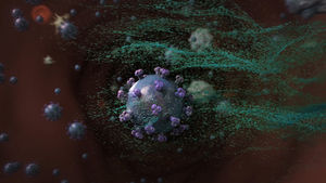 Wirkstoffe greifen Bausteine des HI-Virus an (Foto: Philipp Arnoldt)
