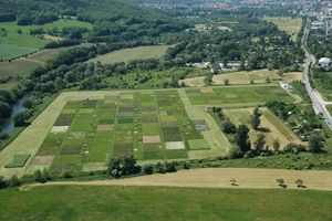 Parzellen der Biodiversitätsforschung aus der Luft (Foto: Jena-Experiment)