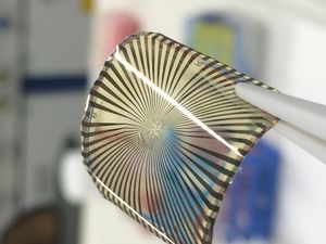 Vom Rand aus laufen Leiterbahnen zu Graphen-Elektroden (Foto: Dmitry Kireev)