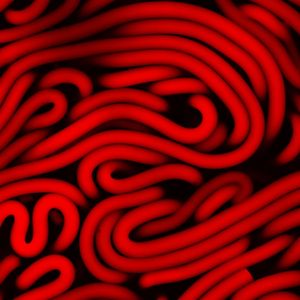 Kunststofffasern in Wasser ähneln Spaghetti (Foto: Princeton Uni)