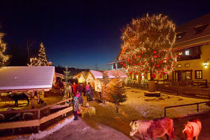 Weihnachtsmarkt am Gut Aiderbichl bei Salzburg (Foto: Gut Aiderbichl)