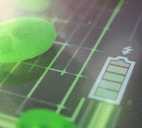 Algen bieten sich künftig als Stromerzeuger an (Bild: Kadi Liis Saar) Algen bieten sich künftig als Stromerzeuger an (Bild: Kadi Liis Saar)