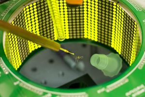 Forscher-Test mit einem Moskito in der Flugkammer (Foto: vt.edu, Kiley Riffell)