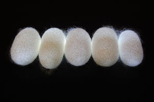 Seide: Material hat erstaunliche Eigenschaften (Foto: Young Kim, purdue.edu)