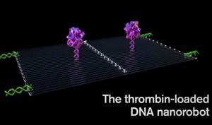 Nanoroboter bekämpfen Krebszellen gezielt (Darstellung: Jason Drees, asu.edu)