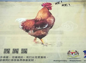 Bellender Hahn: Malaysia wegen Bild unter Druck (Foto: twitter.com/limkitsiang)