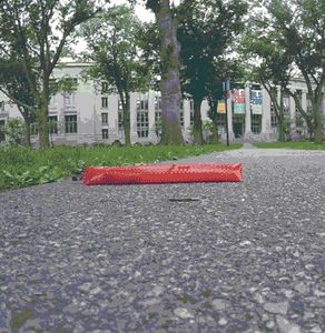 Roboter kriecht durch den Campus (Foto: A. Ahmad Rafsanjani, seas.harvard.edu)