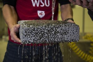 Regenwasser rinnt dank des neuen Verfahrens durch porösen Beton (Foto: wsu.edu) Regenwasser rinnt dank des neuen Verfahrens durch porösen Beton (Foto: wsu.edu)
