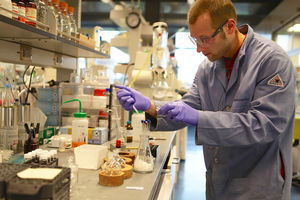 Forscher in Princeton: Hefe mit Licht bestrahlt (Foto: ehs.princeton.edu)