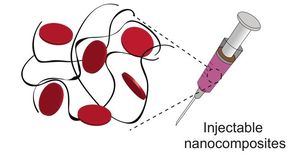 Nanopartikel aus der Spritze sollen innere Wunden heilen (Bild: tamu.edu)
