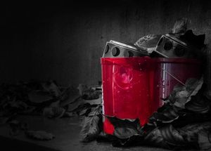 Totengedenken: unwürdiges Treiben im Web (Foto: Lisa Spreckelmeyer, pixelio.de) Totengedenken: unwürdiges Treiben im Web (Foto: Lisa Spreckelmeyer, pixelio.de)